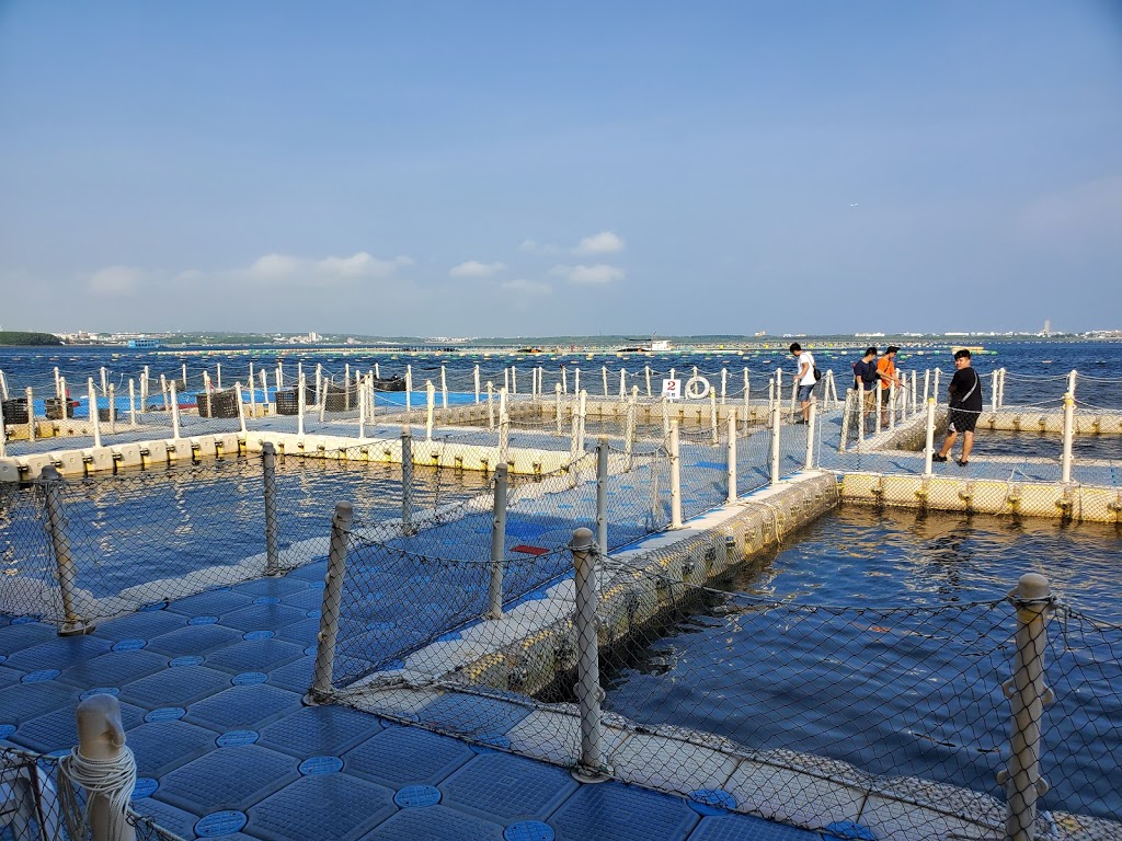 澎湖旅遊-海洋牧場